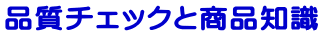 �f�B�Y�j�[�p��V�X�e���E�c���p�ꋳ��