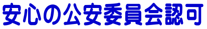 �f�B�Y�j�[�p��V�X�e���ɂ��Ă悭���鎿��